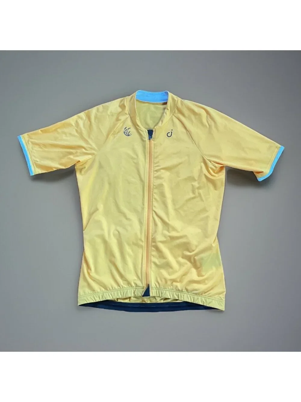 Velocio Womens L Siganture Cycling Jersey Stanly Ranch Napa Valley California